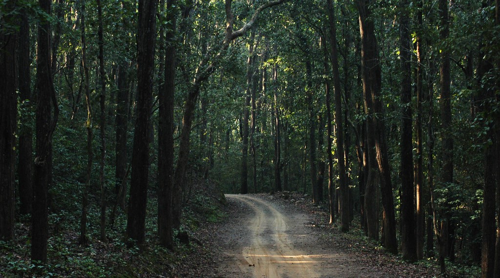 Jim Corbett National Park