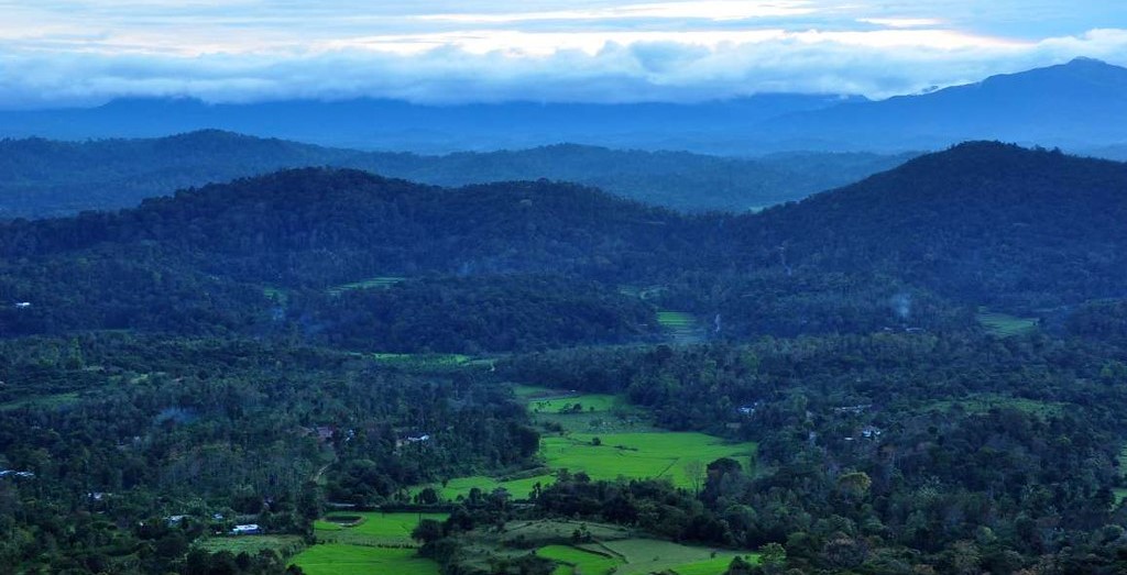 Coorg-Where Coffee Aroma Meets Lush Greenery