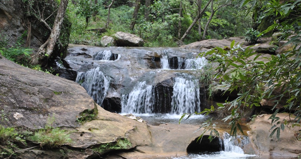 Exploring the Emerald Gem of Madhya Pradesh