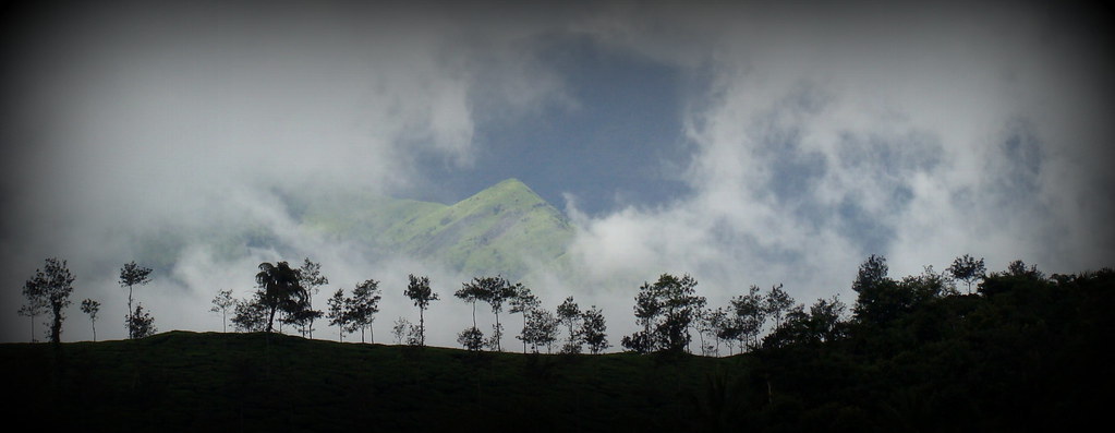 Wayanad Unveiled-Top Attractions and Hidden Gems